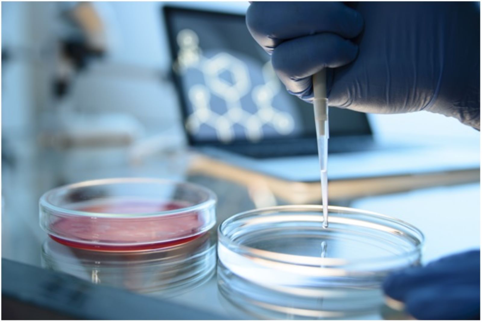 Davos Compact on AMR: An initiative to mobilize sustainable finance to save 100 million lives by 2050